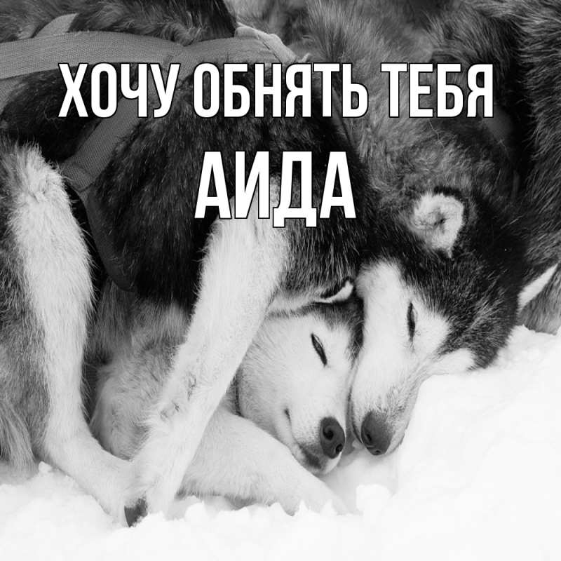 Картинка Хочу обнять тебя, Аида