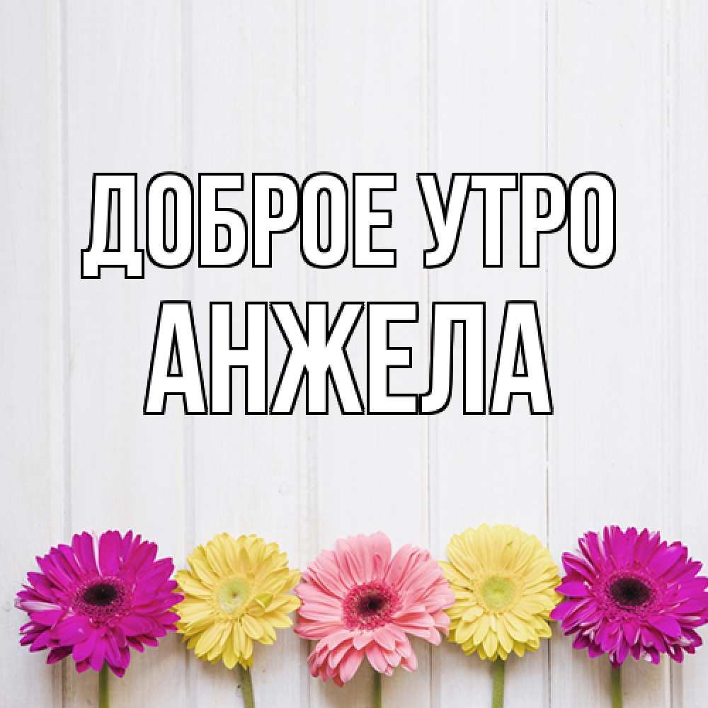 Открытка на каждый день с именем, Анжела Доброе утро красный желтый и розовый цветок Прикольная открытка с пожеланием онлайн скачать бесплатно 