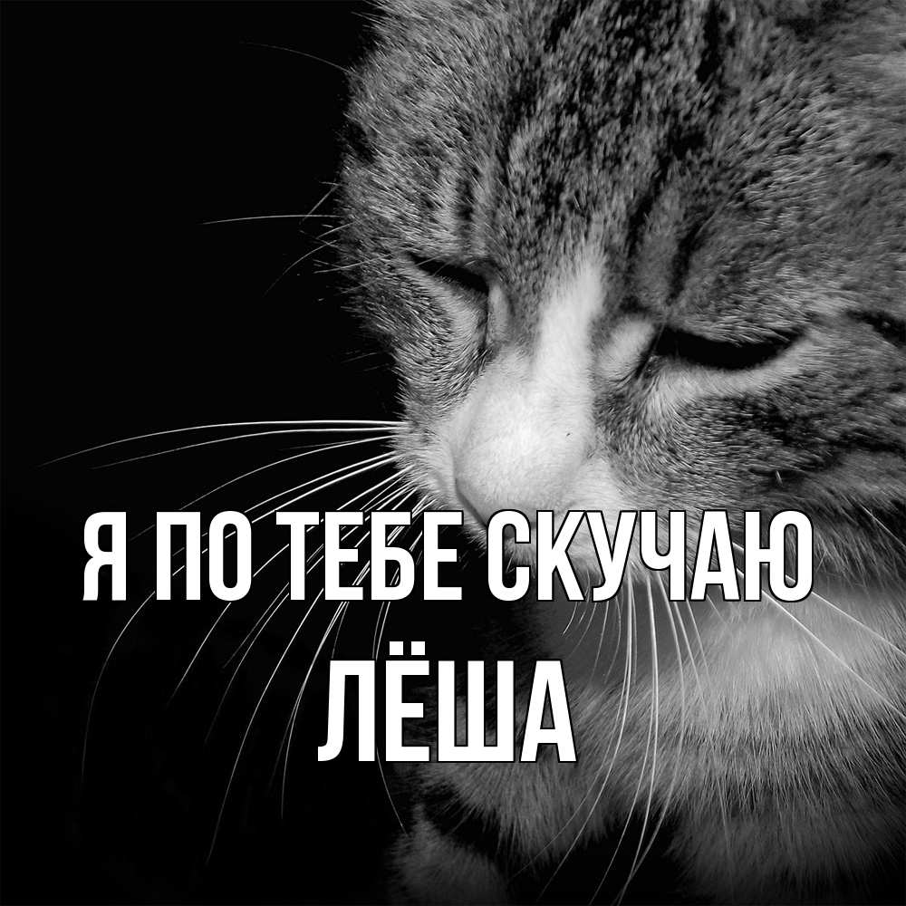 Открытка на каждый день с именем, Лёша Я по тебе скучаю мне скучно Прикольная открытка с пожеланием онлайн скачать бесплатно 