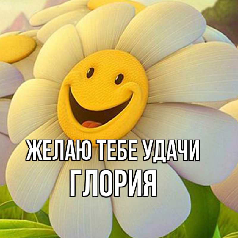 Картинка Желаю тебе удачи, Глория