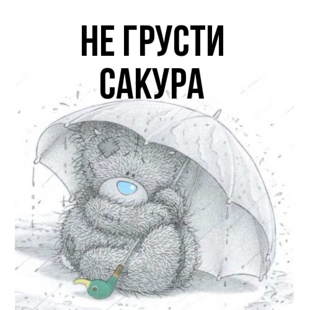 Открытка на каждый день с именем, Сакура Не грусти спасите мишку Тедди Прикольная открытка с пожеланием онлайн скачать бесплатно 