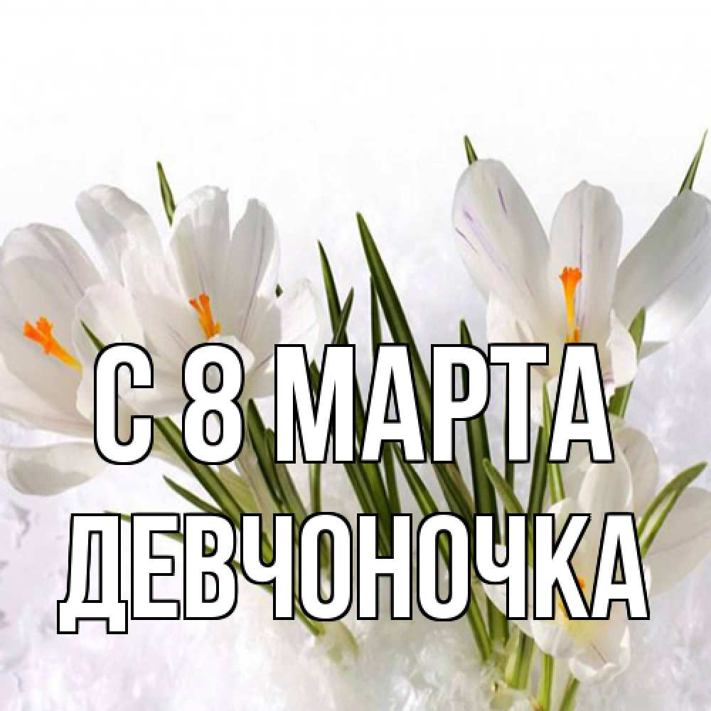 Открытка на каждый день с именем, девчоночка C 8 МАРТА под снегом Прикольная открытка с пожеланием онлайн скачать бесплатно 