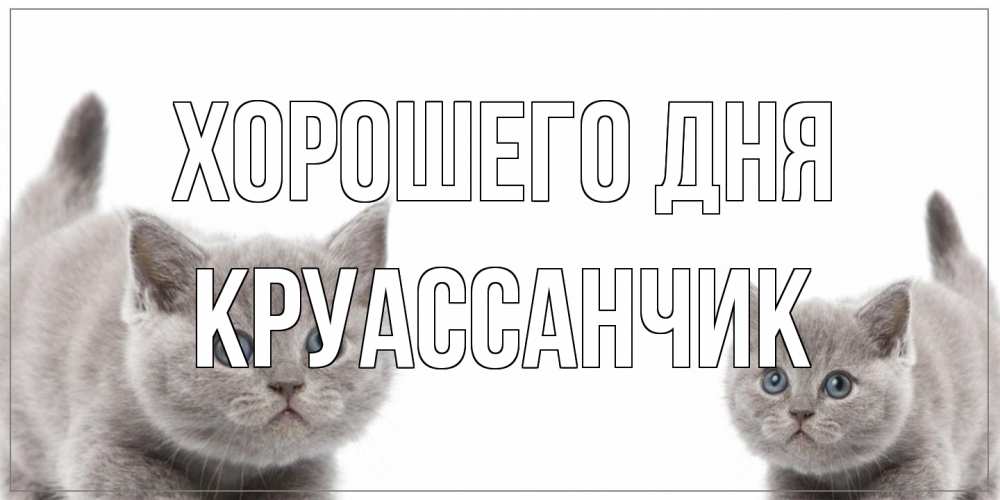 Открытка на каждый день с именем, круассанчик Хорошего дня открытка с котами Прикольная открытка с пожеланием онлайн скачать бесплатно 