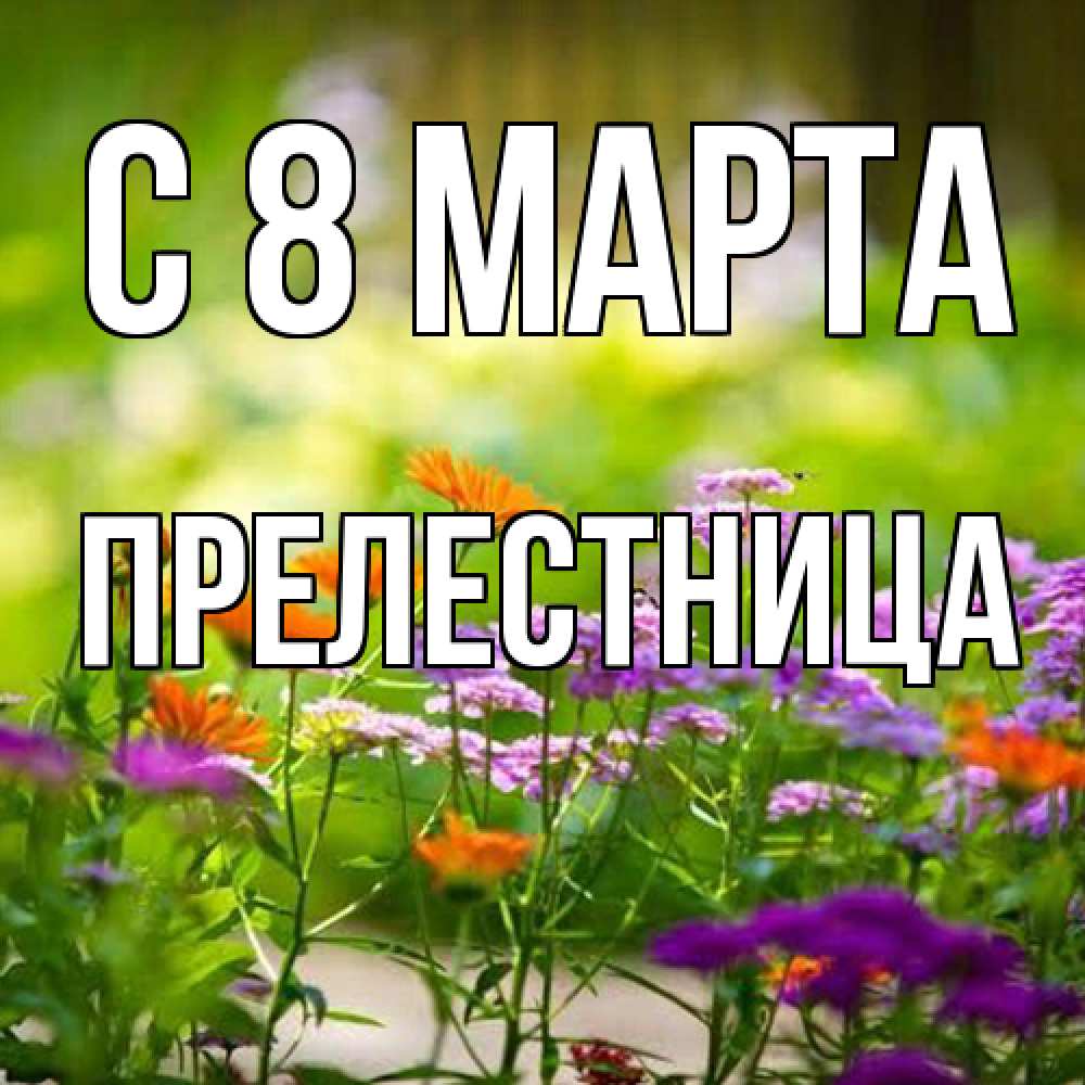 Открытка на каждый день с именем, пpелестница C 8 МАРТА цветы Прикольная открытка с пожеланием онлайн скачать бесплатно 