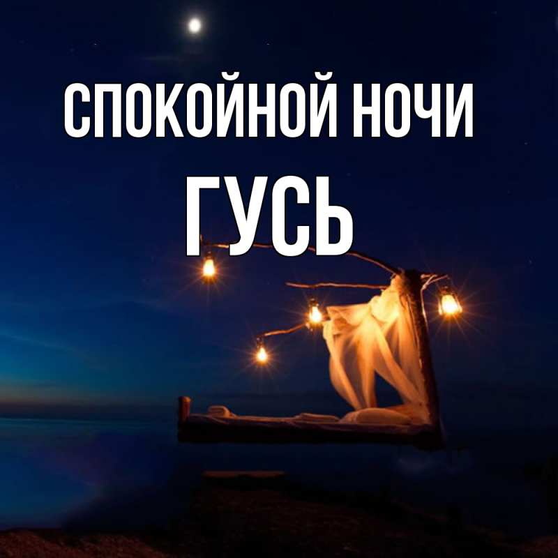 Картинка Спокойной ночи, Гусь
