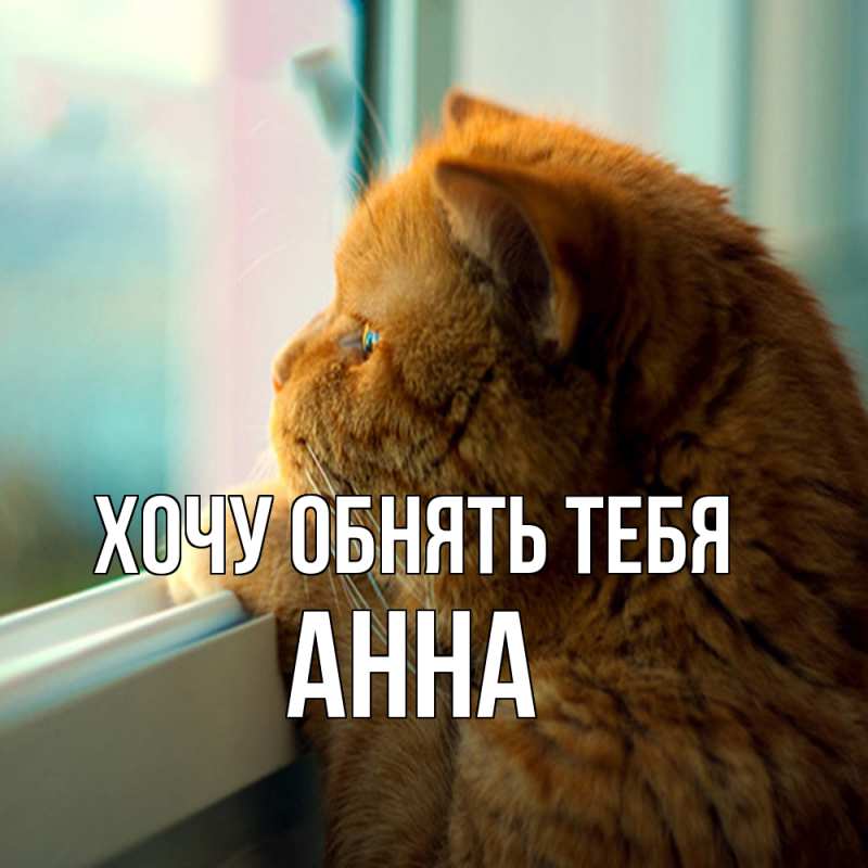 Картинка Хочу обнять тебя, Анна