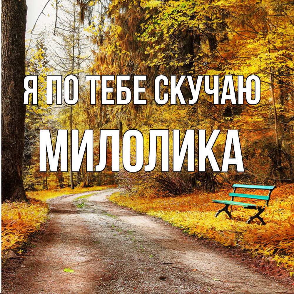 Открытка на каждый день с именем, Милолика Я по тебе скучаю зеленая лавочка и осенний лес Прикольная открытка с пожеланием онлайн скачать бесплатно 