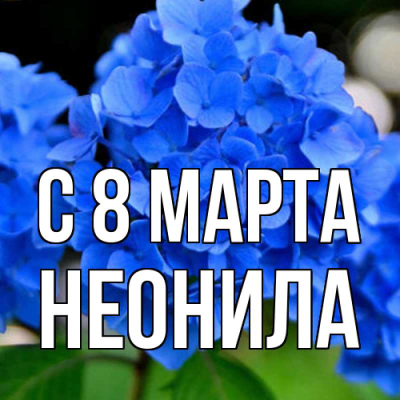 Картинка C 8 МАРТА, Неонила