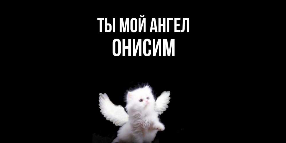 Открытка на каждый день с именем, Онисим Ты мой ангел Кот ангел Прикольная открытка с пожеланием онлайн скачать бесплатно 