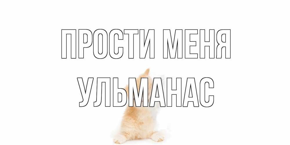 Открытка на каждый день с именем, Ульманас Прости меня кот Прикольная открытка с пожеланием онлайн скачать бесплатно 