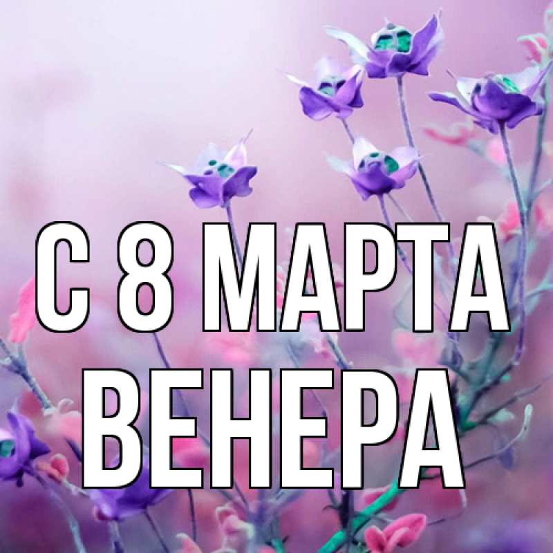 Картинка C 8 МАРТА, Венера