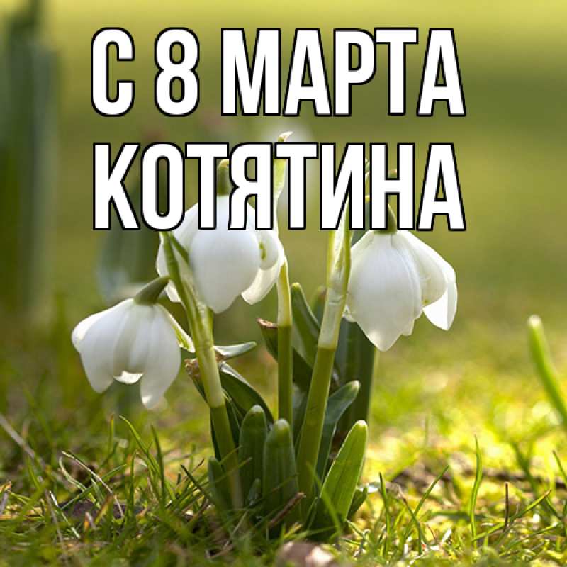 Картинка C 8 МАРТА, Котятина