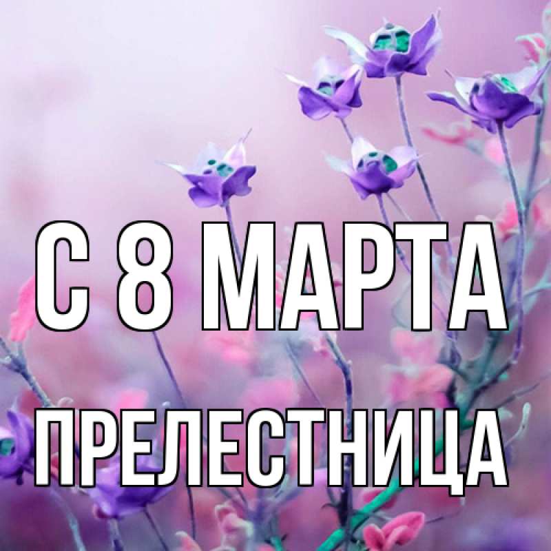 Картинка C 8 МАРТА, Прелестница