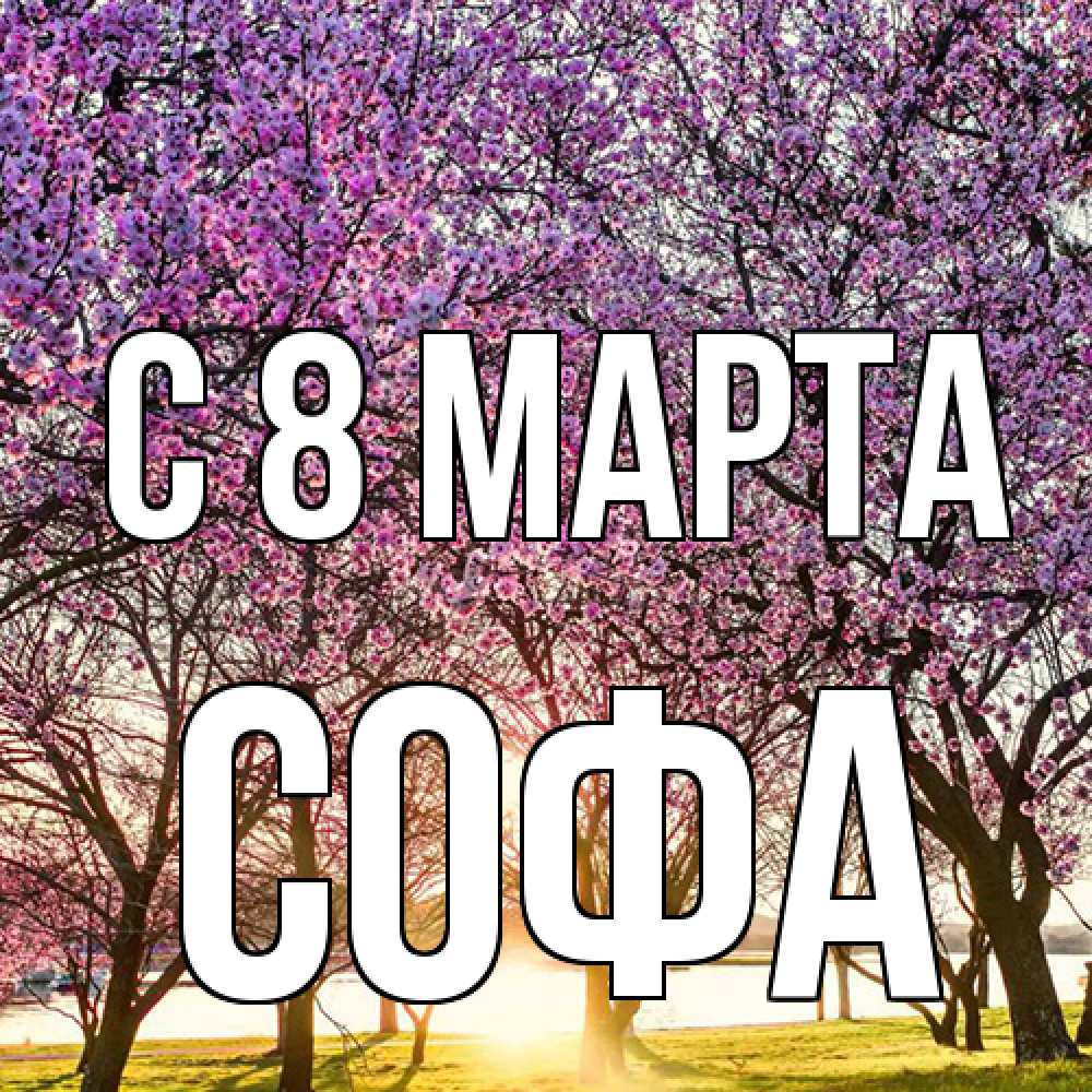 Открытка на каждый день с именем, Софа C 8 МАРТА международный женский день Прикольная открытка с пожеланием онлайн скачать бесплатно 