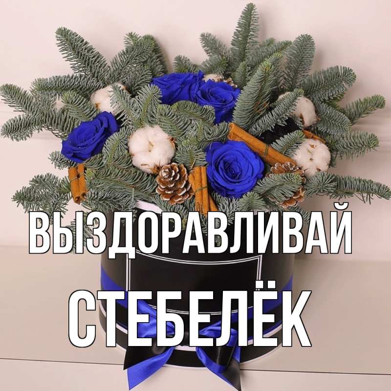 Картинка Выздоравливай, Стебелёк