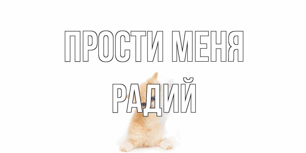 Открытка на каждый день с именем, Радий Прости меня кот Прикольная открытка с пожеланием онлайн скачать бесплатно 