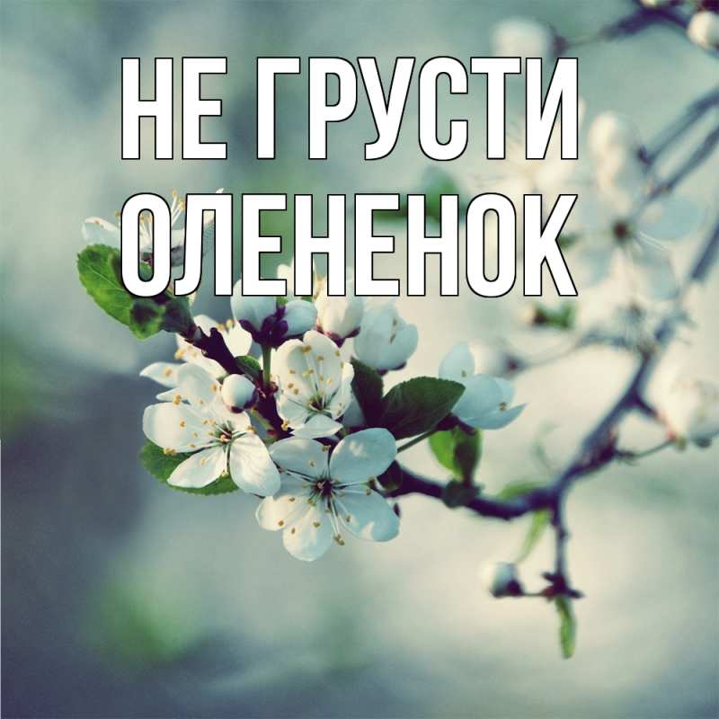 Картинка Не грусти, Олененок