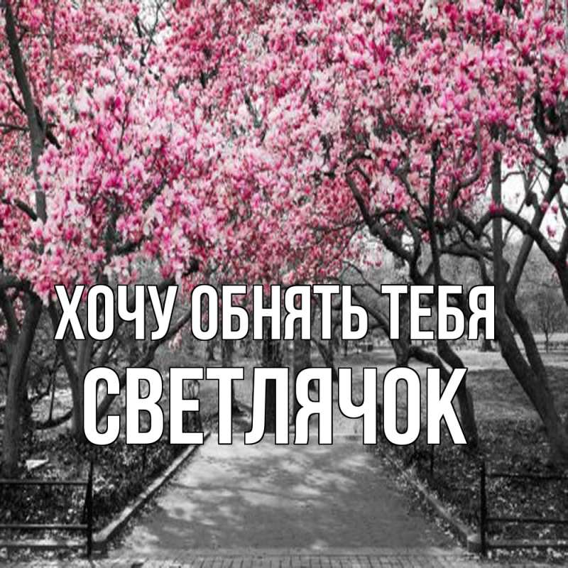 Картинка Хочу обнять тебя, Светлячок