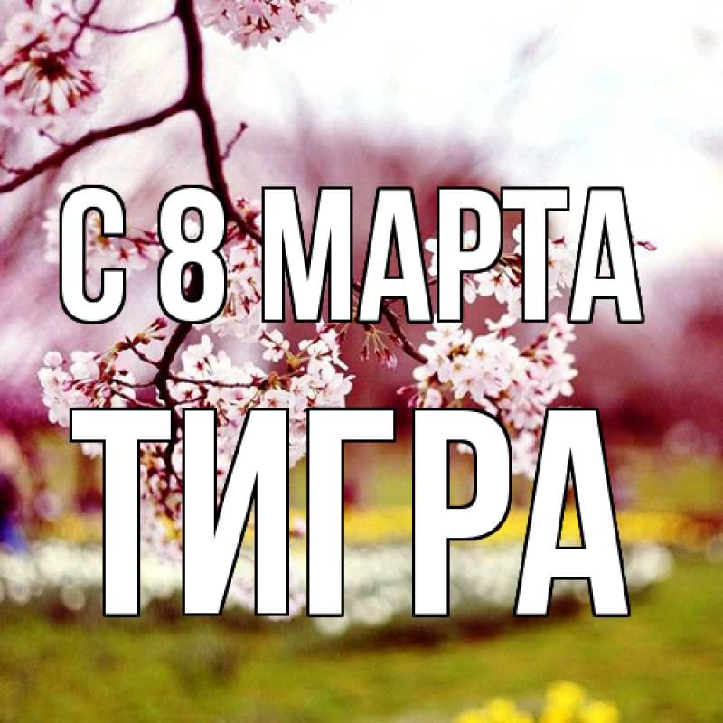 Картинка C 8 МАРТА, Тигpа