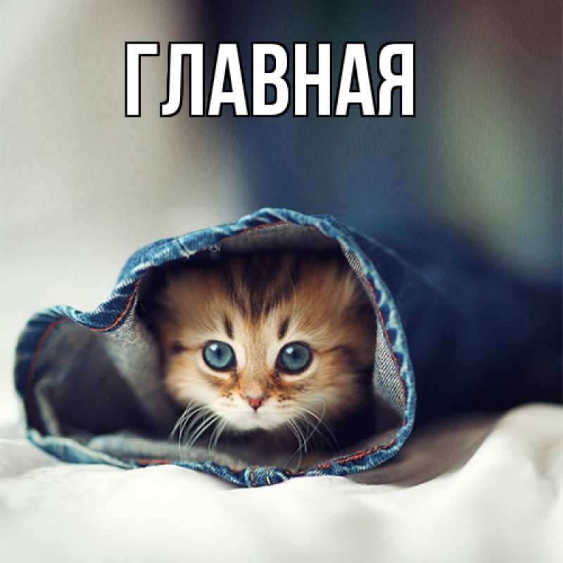 Картинка  с именем , настя