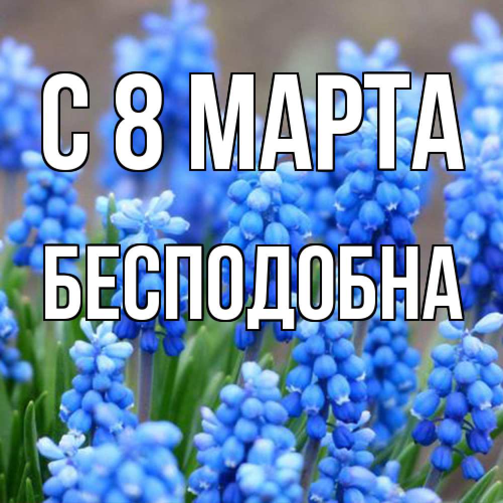 Открытка на каждый день с именем, Бесподобна C 8 МАРТА Поздравительная открытка для женщин с цветами на праздничную дату Прикольная открытка с пожеланием онлайн скачать бесплатно 