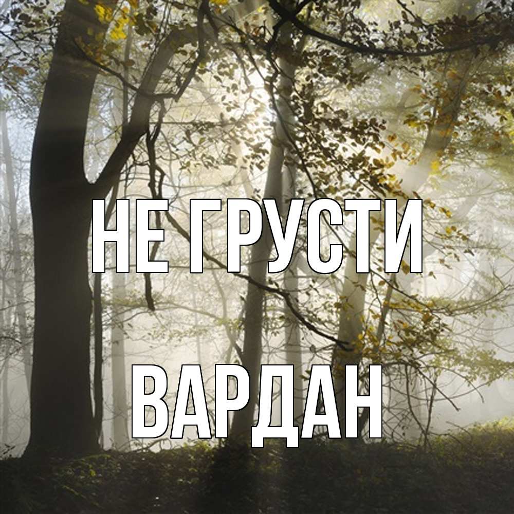 Открытка на каждый день с именем, Вардан Не грусти лес и свет Прикольная открытка с пожеланием онлайн скачать бесплатно 