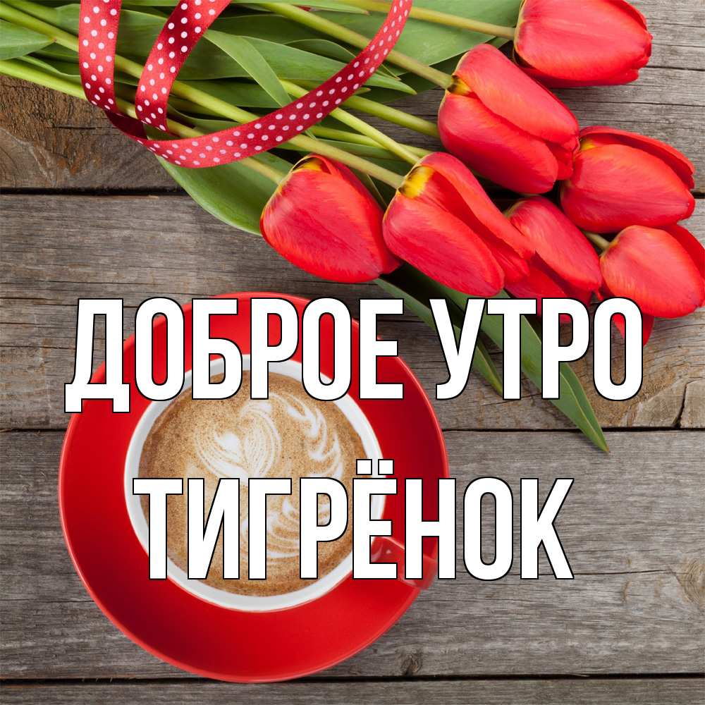 Открытка на каждый день с именем, Тигрёнок Доброе утро красное блюдце Прикольная открытка с пожеланием онлайн скачать бесплатно 