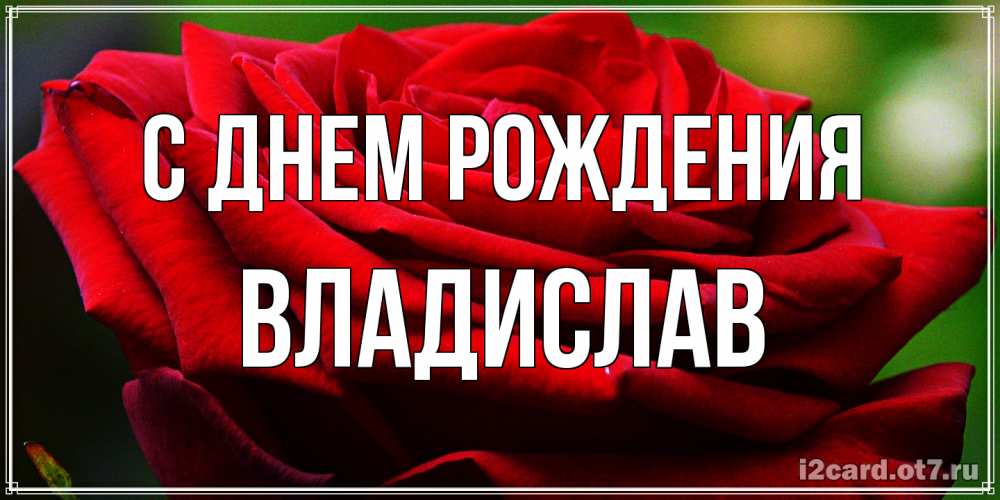Открытка на каждый день с именем, Владислав С днем рождения розочка очень красивая Прикольная открытка с пожеланием онлайн скачать бесплатно 