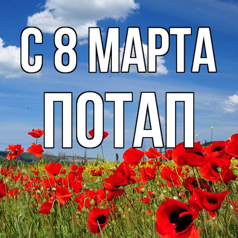Картинка C 8 МАРТА, Потап