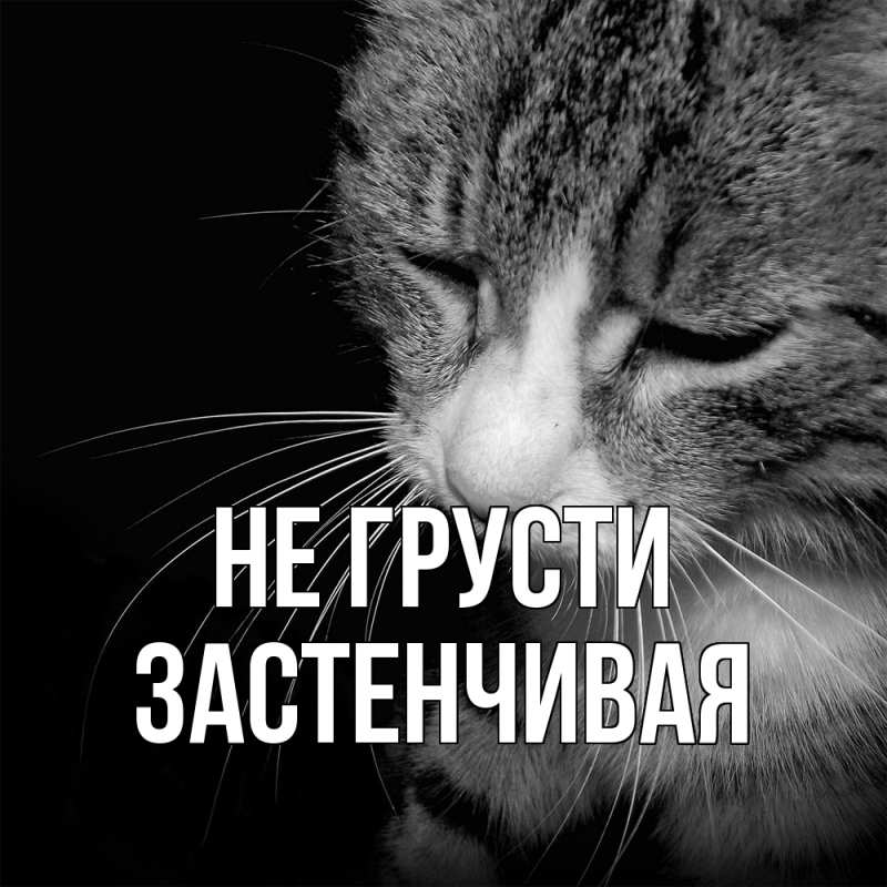 Картинка Не грусти, Застенчивая