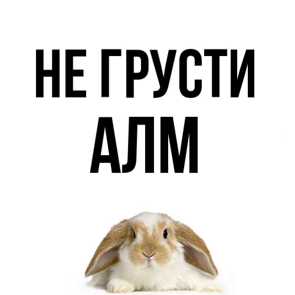 Открытка на каждый день с именем, Алм Не грусти коричнево белый заяц с большими ушками Прикольная открытка с пожеланием онлайн скачать бесплатно 