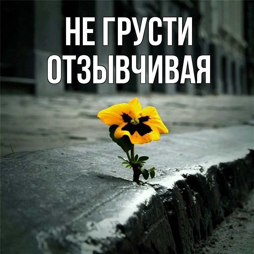 Открытка на каждый день с именем, Отзывчивая Не грусти не сдавайся Прикольная открытка с пожеланием онлайн скачать бесплатно 