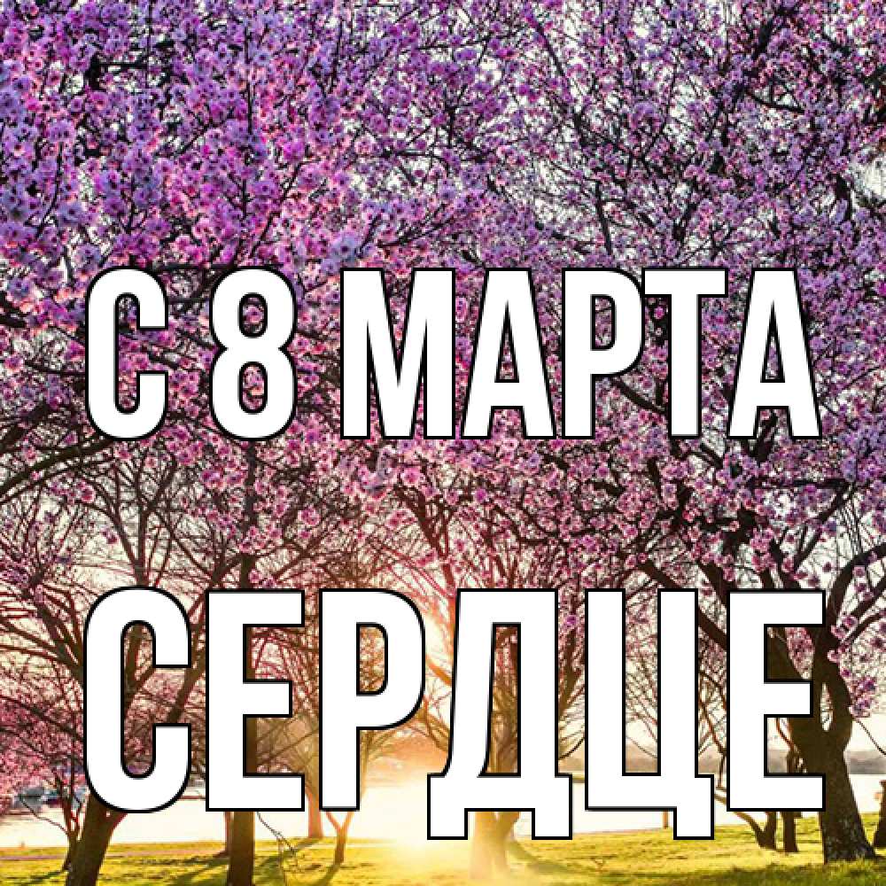 Открытка на каждый день с именем, сердце C 8 МАРТА международный женский день Прикольная открытка с пожеланием онлайн скачать бесплатно 