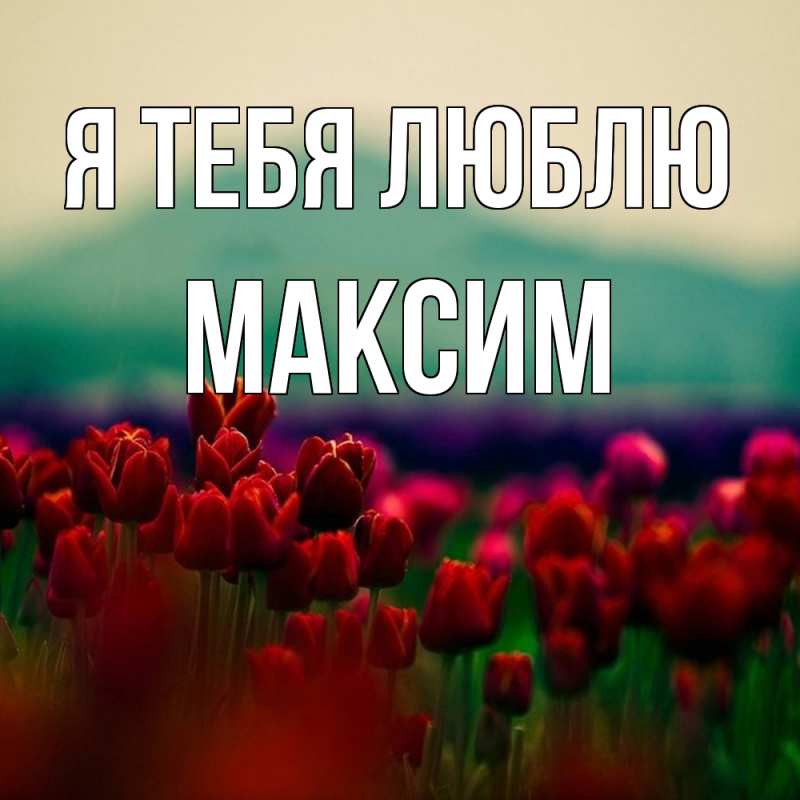 Картинка Я тебя люблю, Максим