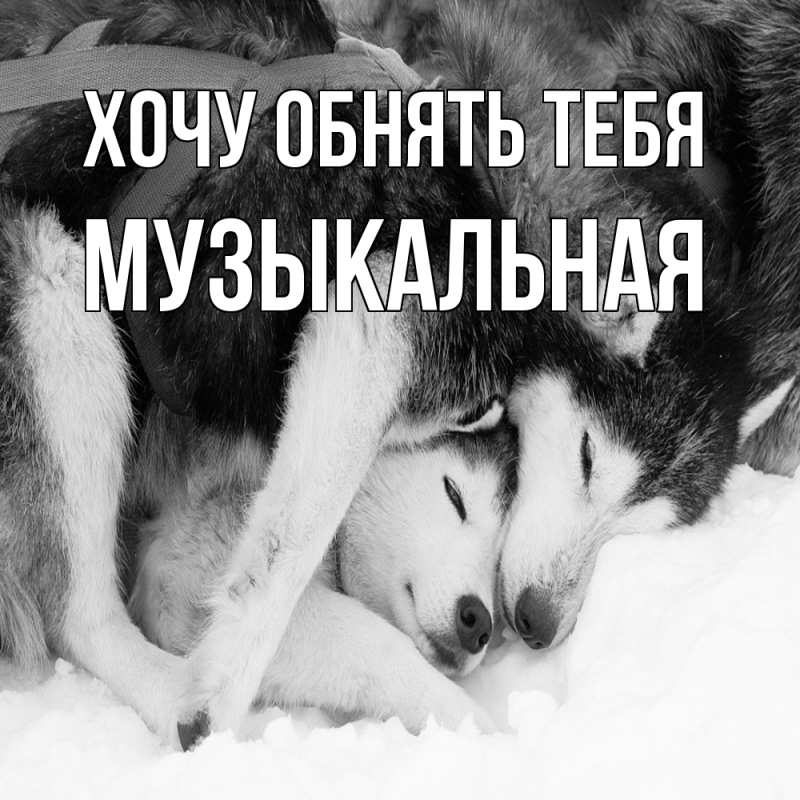 Картинка Хочу обнять тебя, Музыкальная