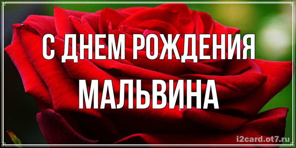 Открытка на каждый день с именем, Мальвина С днем рождения розочка очень красивая Прикольная открытка с пожеланием онлайн скачать бесплатно 