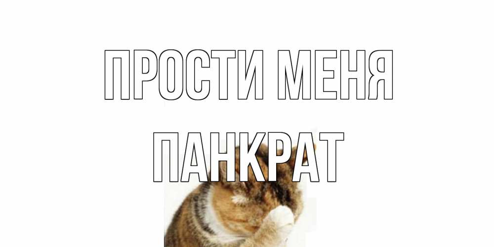 Открытка на каждый день с именем, Панкрат Прости меня кот Прикольная открытка с пожеланием онлайн скачать бесплатно 