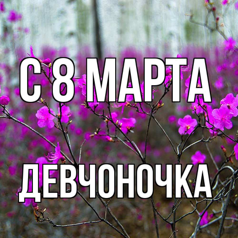 Открытка на каждый день с именем, девчоночка C 8 МАРТА дикие цветы Прикольная открытка с пожеланием онлайн скачать бесплатно 