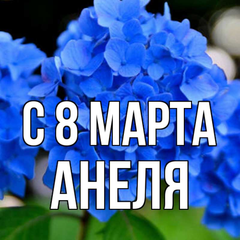 Картинка C 8 МАРТА, Анеля