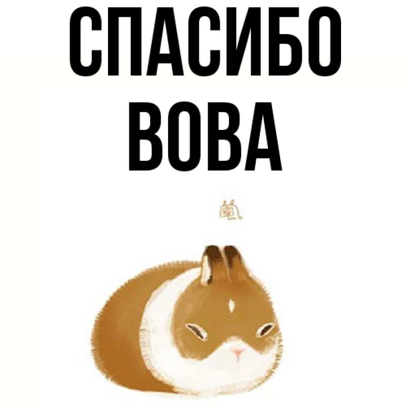 Картинка Спасибо, Вова
