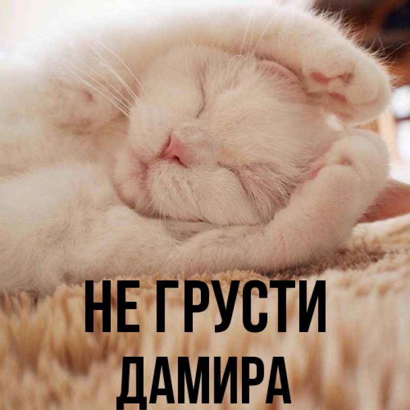 Открытка с именем, Дамира, Не грусти