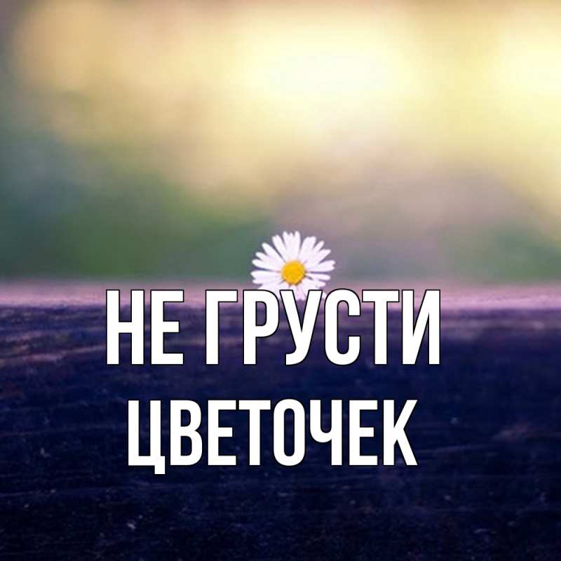 Картинка Не грусти, Цветочек