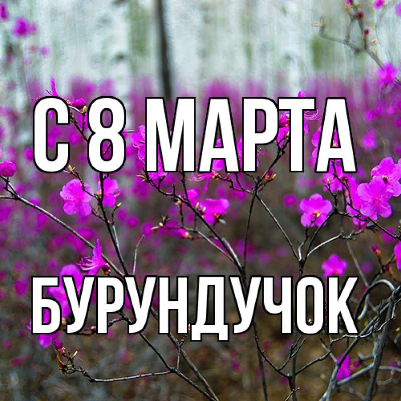 Картинка C 8 МАРТА, бурундучок