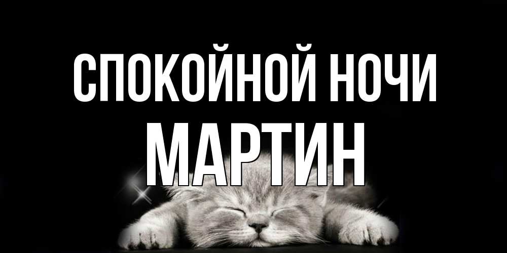 Открытка на каждый день с именем, Мартин Спокойной ночи спящий котик Прикольная открытка с пожеланием онлайн скачать бесплатно 