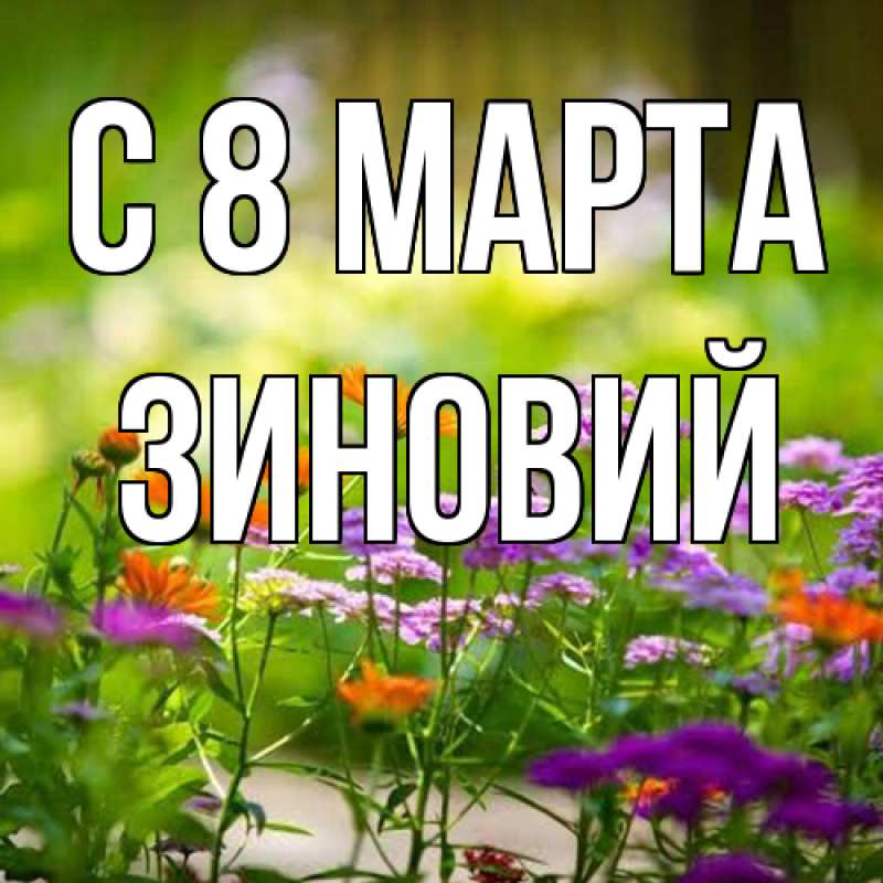 Картинка C 8 МАРТА, Зиновий