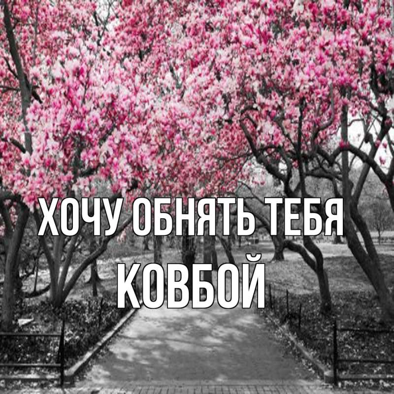 Картинка Хочу обнять тебя, Ковбой
