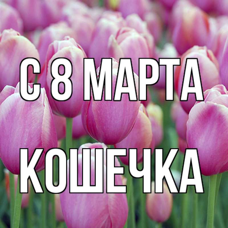 Картинка C 8 МАРТА, кошечка