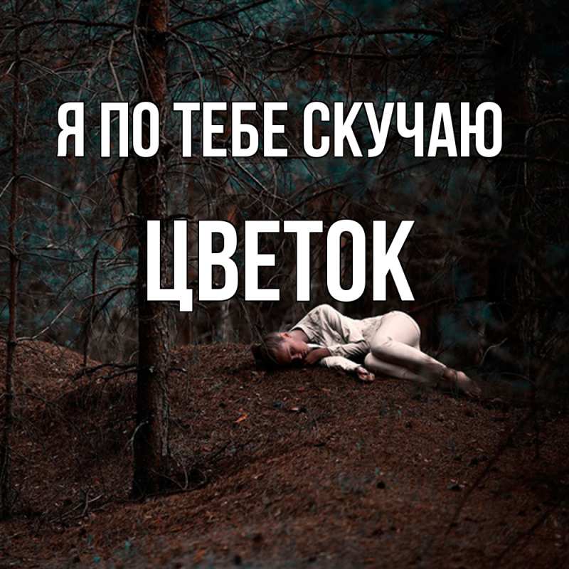 Картинка Я по тебе скучаю, Цветок