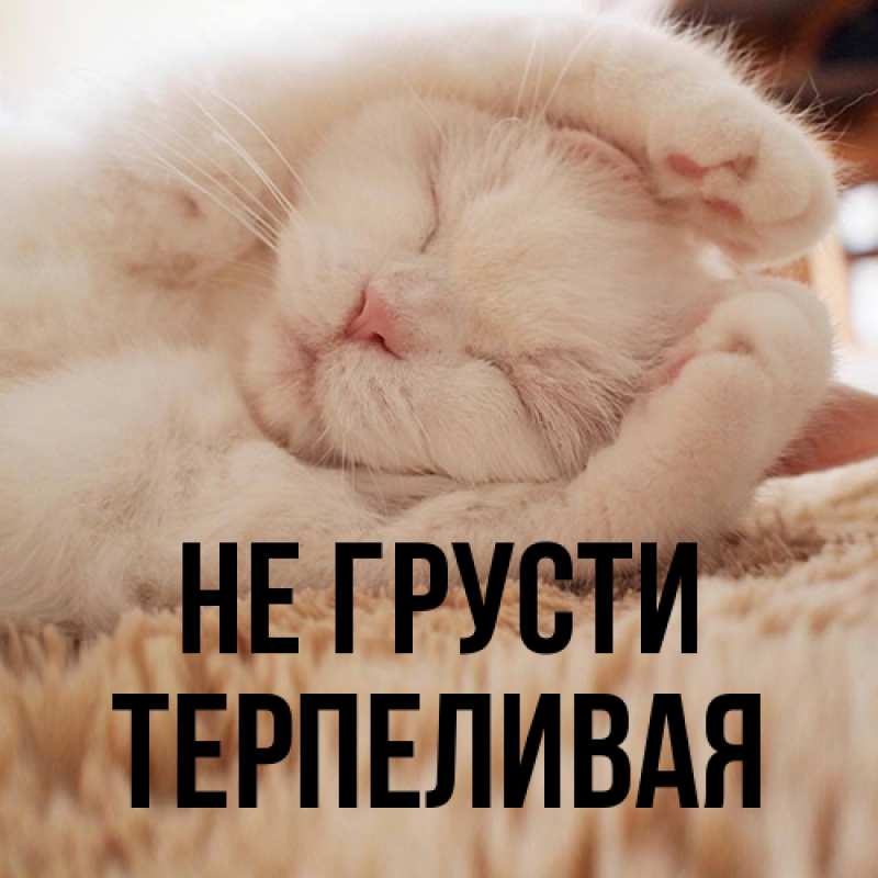 Картинка Не грусти, терпеливая