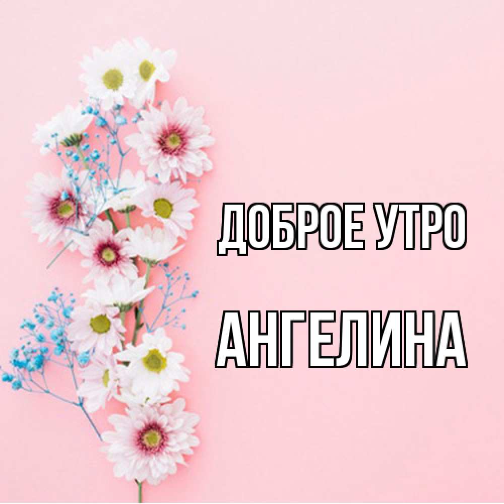 Открытка на каждый день с именем, Ангелина Доброе утро цветы с подписью Прикольная открытка с пожеланием онлайн скачать бесплатно 